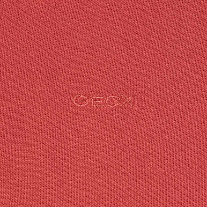 ABBIGLIAMENTO da UOMO | T GEOX