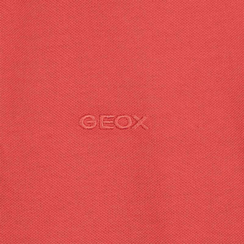 ABBIGLIAMENTO da UOMO | T GEOX