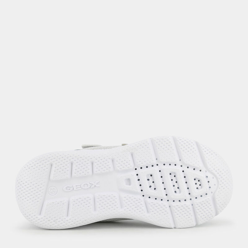 BAMBINA da BAMBINI | SNEAKERS GEOX