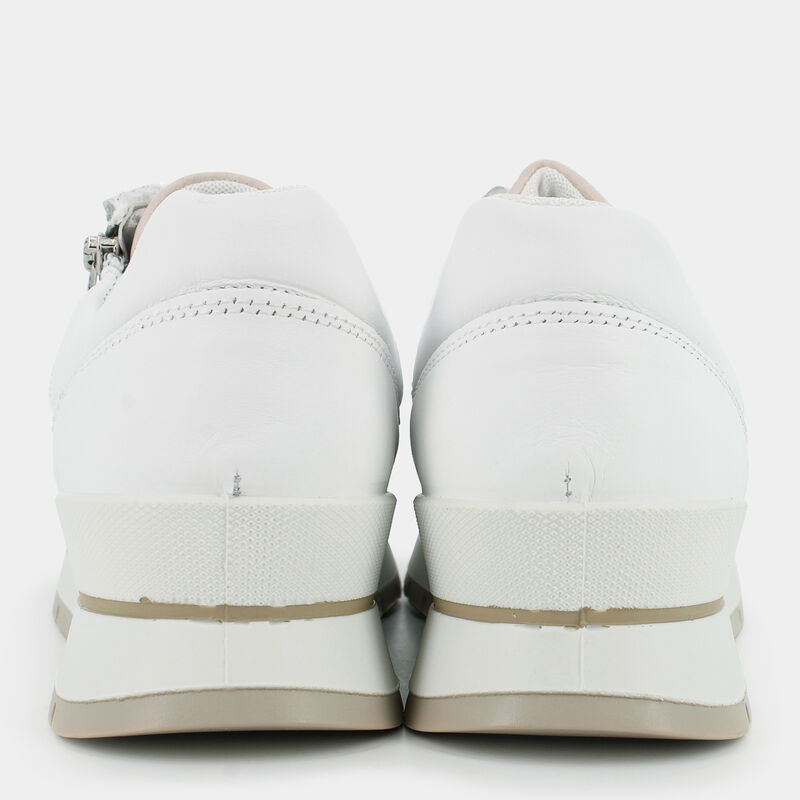 SCARPE da DONNA | SNEAKERS IGI & CO.